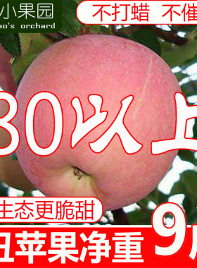 新鲜红富士苹果水果净重9斤包邮整箱丑平果山西脆甜非冰糖心萍果