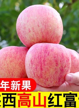 苹果水果红富士陕西高山苹果脆甜多汁当季新鲜丑苹果粉面香甜2
