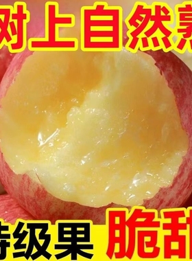 【主播严选】红富士苹果水果新鲜整箱当季脆甜丑平果冰糖心萍果