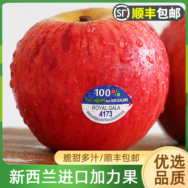 新西兰加力苹果水果新鲜 当季进口红苹果gala嘎啦苹果顺丰包邮