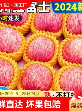 陕西洛川苹果10斤新鲜水果红富士当季整箱冰糖心脆甜苹果批发价