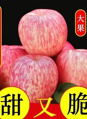 洛川苹果红富士新鲜水果山东栖霞冰糖心应季时令烟台红富士苹果