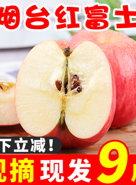 烟台红富士苹果10斤水果新鲜当季栖霞萍果冰糖心丑平果整箱平安果