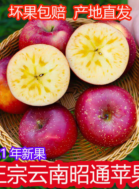 苹果 云南特产昭通冰糖心苹果新鲜水果当季孕妇宝宝苹果现货
