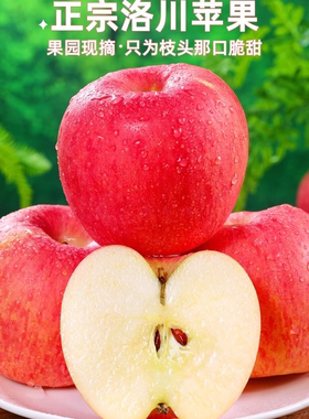 陕西洛川苹果红富士新鲜时令水果当季整箱精选脆甜冰糖心洛川苹果