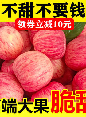 苹果水果新鲜当季整箱正宗山东烟台红富士栖霞脆甜10斤冰糖心苹果