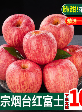 山东烟台红富士苹果水果新鲜10斤整箱包邮应当季栖霞冰糖心丑苹果