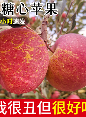 大凉山丑苹果10斤水果新鲜当季整箱脆甜冰糖心盐源红富士苹果包邮