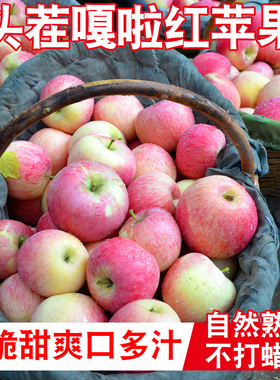 苹果水果新鲜当季整箱嘎啦9斤包邮青红富士脆甜冰糖心丑平萍果10