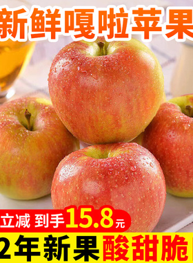 苹果新鲜水果当季整箱8斤装陕西红富士嘎啦苹果脆甜冰糖心丑苹果