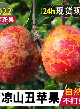 四川大凉山丑苹果冰糖心苹果水果新鲜当季整箱10斤包邮盐源红富士