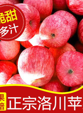 正宗洛川红富士苹果新鲜水果当季整箱孕妇冰糖心2022苹果脆甜10斤