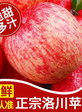 陕西洛川红富士苹果10斤新鲜水果应当季现摘红皮冰糖心平安果整箱