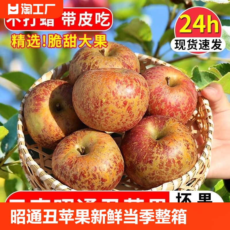 云南昭通丑苹果冰糖心新鲜水果当季红露苹果红富士苹果10斤整箱