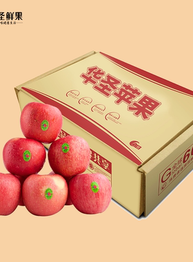 【华圣】陕西洛川红富士时令苹果当季新鲜水果冰糖心脆甜飞机盒
