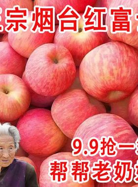 山东烟台红富士10斤苹果水果新鲜整箱应当季冰糖心栖霞平果5