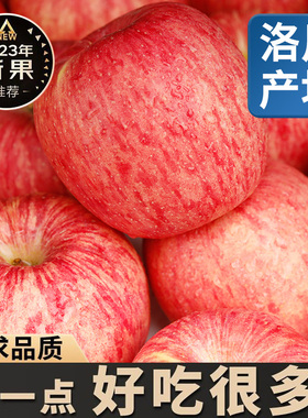 正宗陕西洛川红富士苹果新鲜应当季孕妇水果脆甜冰糖心10斤一级果