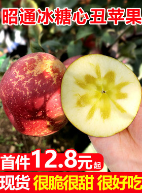 云南昭通丑苹果冰糖心苹果水果脆甜10斤新鲜红富士苹果整箱包邮