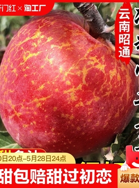 云南昭通市丑苹果冰糖心苹果新鲜水果当季整箱红富士萍果10脆甜