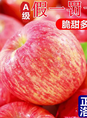 正宗陕西延安洛川苹果水果新鲜当季整箱红富士冰糖心特级脆甜10斤