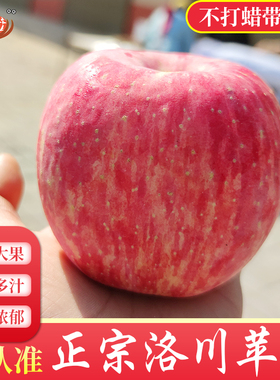正宗陕西洛川苹果水果新鲜应季整箱红富士冰糖心一级脆甜十斤包邮