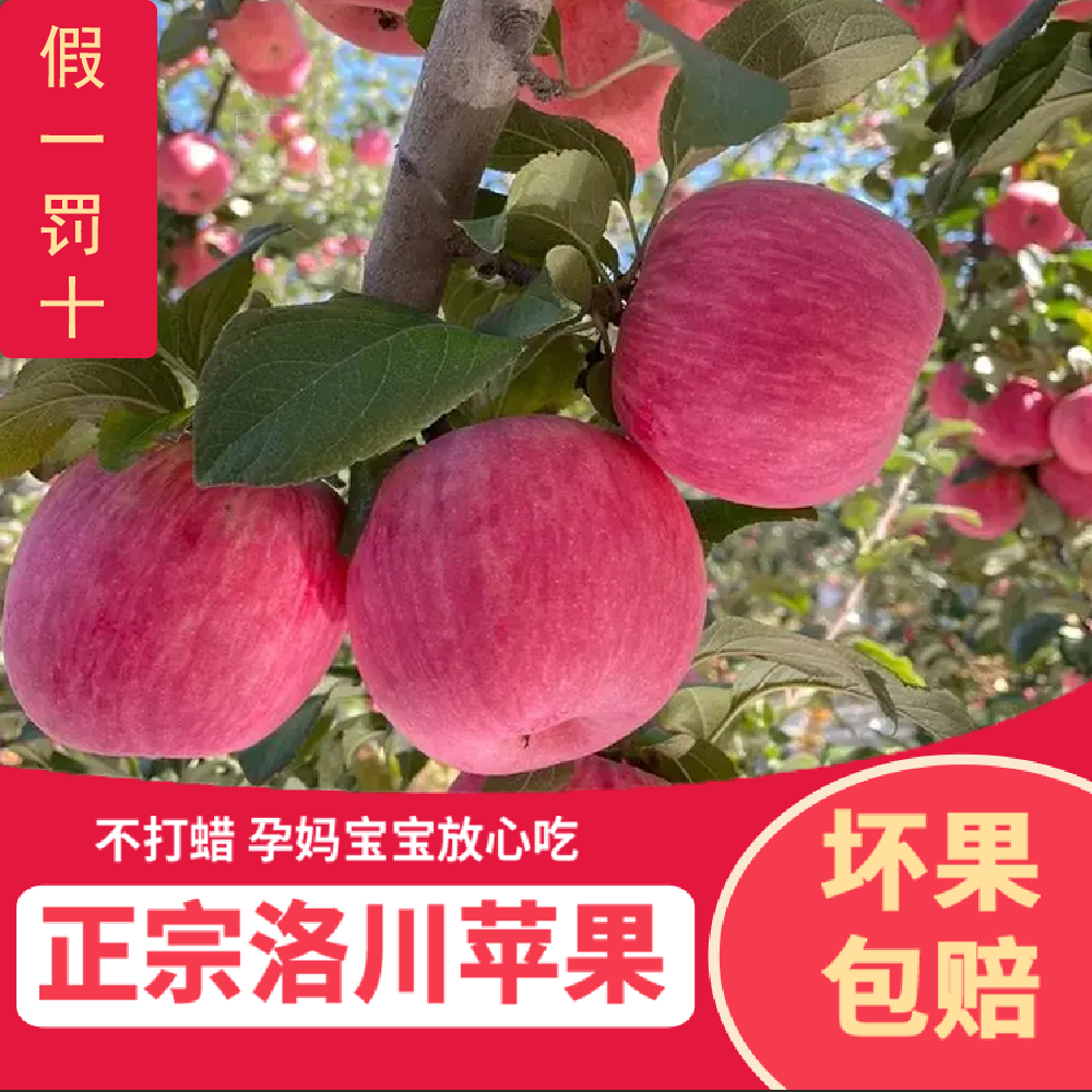 陕西洛川红富士苹果水果新鲜整箱当季脆甜苹果冰糖心一箱孕妇水果