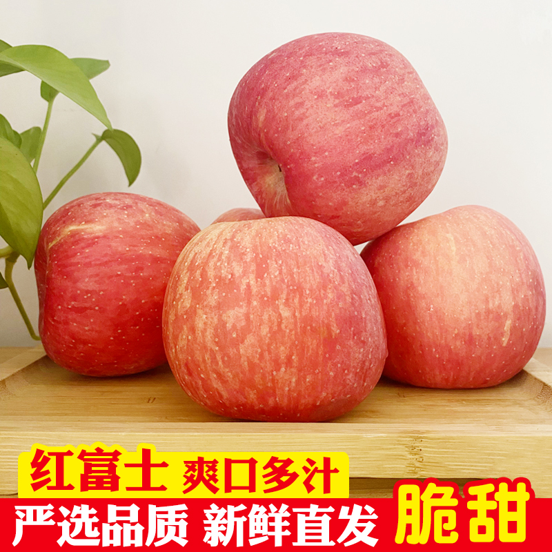 陕西洛川红富士苹果当季脆甜多肉冰糖心大果10斤整箱应季新鲜水果