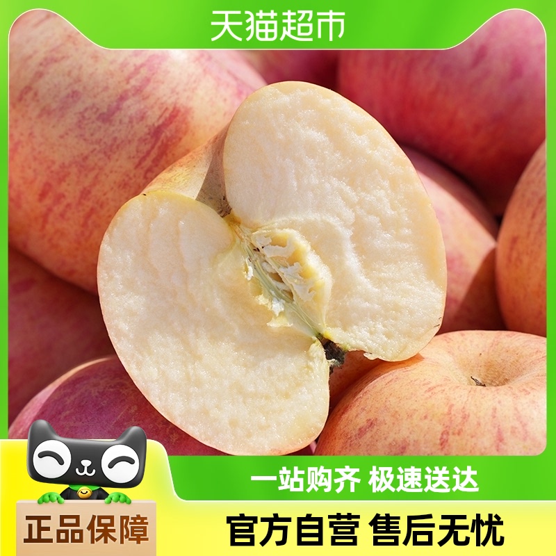 山东烟台红富士苹果丑苹果冰糖心苹果10斤装脆甜苹果水果新鲜