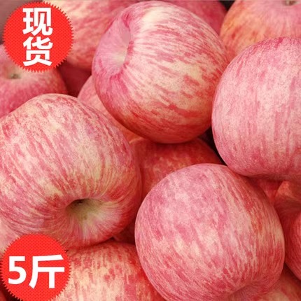 新鲜白水红富士苹果陕西当季水果脆甜皮薄无渣5斤冰糖心丑平果9斤