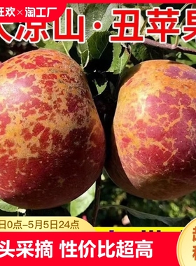 正宗四川大凉山冰糖心丑苹果新鲜红富士苹果水果脆甜当季特价大果