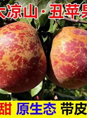 正宗四川大凉山冰糖心丑苹果盐源新鲜红富士苹果水果脆甜当季特价