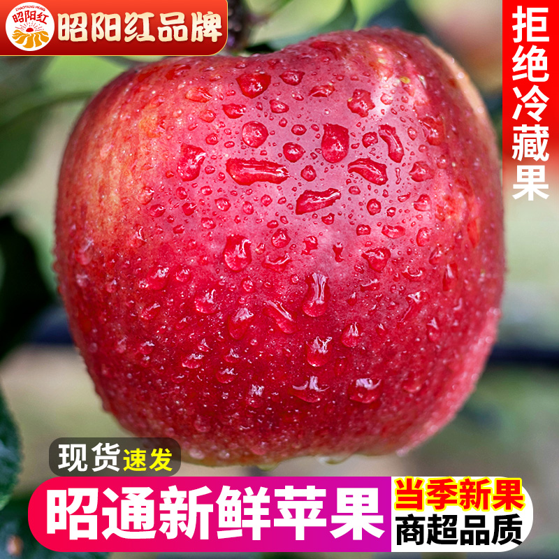 【昭阳红】昭通新鲜苹果脆甜水果丑苹果10顺丰冰糖心红富士斤