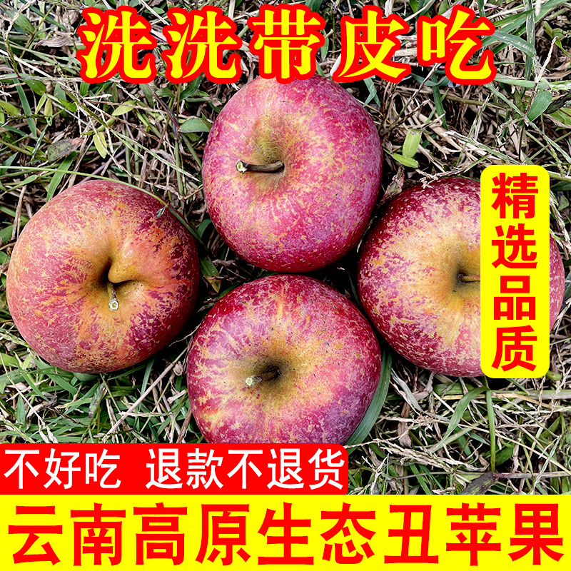 正宗云南昭通冰糖心丑苹果新鲜水果当季现摘脆甜红富士2斤5斤9斤