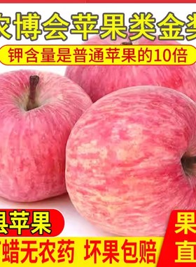 山西吉县苹果新鲜当季壶口苹果正品冰糖心正宗水晶红富士水果脆甜