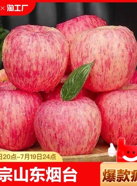 正宗山东烟台红富士苹果冰糖心脆甜新鲜水果精选现摘现发9斤果园
