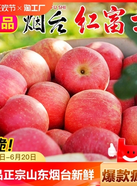 正宗山东烟台红富士苹果水果新鲜脆甜10/9斤冰糖心苹果丑大果精选