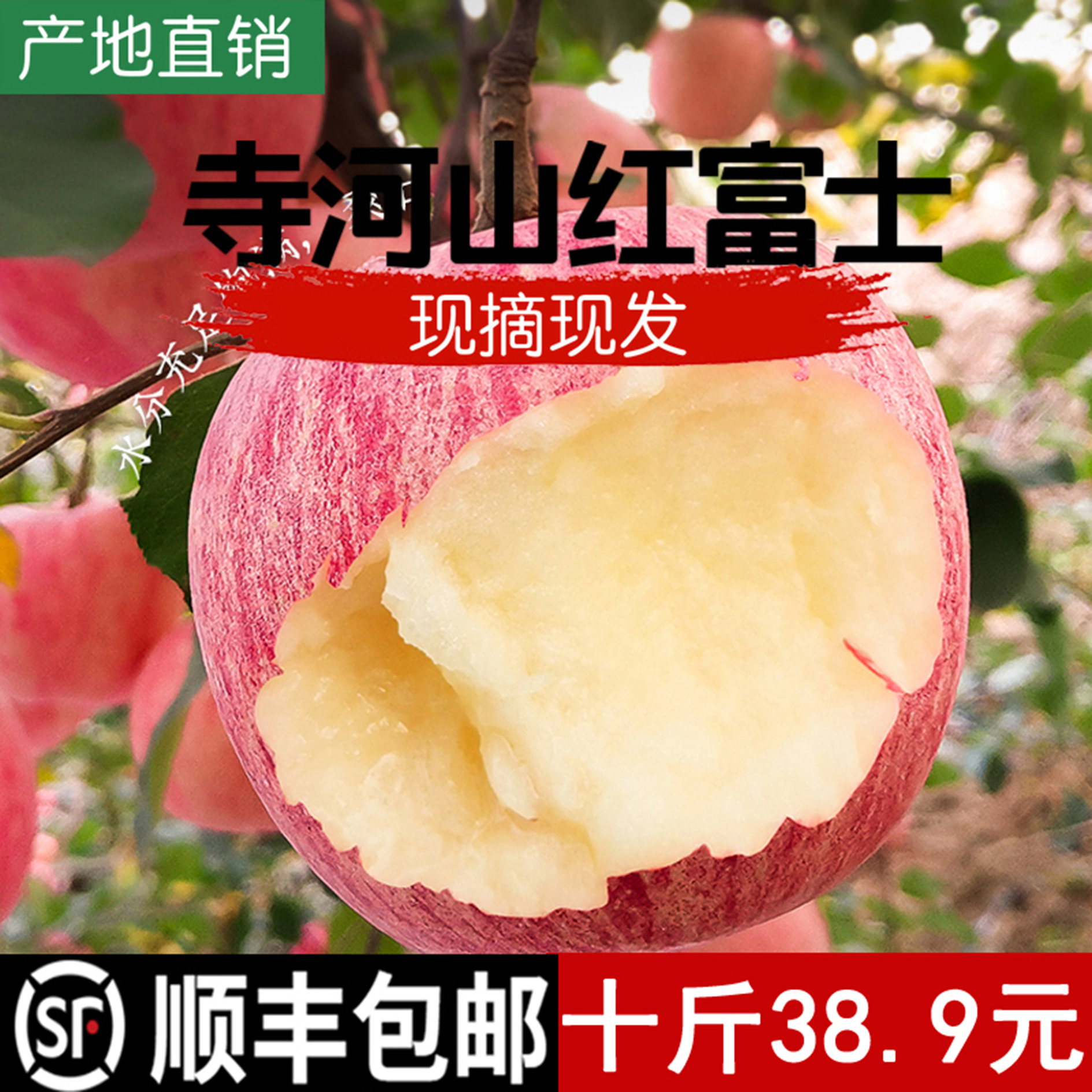 新鲜灵宝红富士苹果水果冰糖心脆甜SOD整箱大果10斤包邮孕妇应季