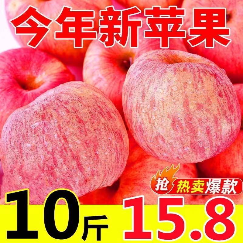 正宗山东烟台红富士10斤冰糖心精选苹果新鲜水果栖霞当季整箱现摘