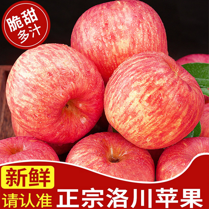 正宗陕西洛川苹果水果新鲜当季整箱红富士冰糖心一级脆甜9斤大果