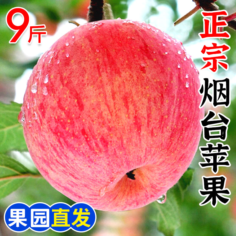 山东烟台红富士苹果新鲜应当季水果整箱栖霞脆甜冰糖心丑平果10斤