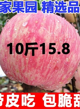 陕西洛川苹果水果新鲜当季红富士冰糖心丑苹果整箱10斤包邮尝鲜