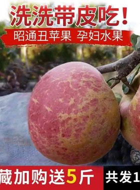 云南昭通冰糖心野生丑苹果脆甜孕妇丽江拉市海新鲜水果10斤绍通