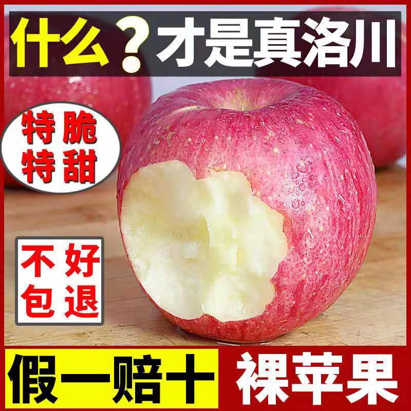 苹果10斤新鲜水果陕西洛川红富士丑苹果当季整箱冰糖心平安果