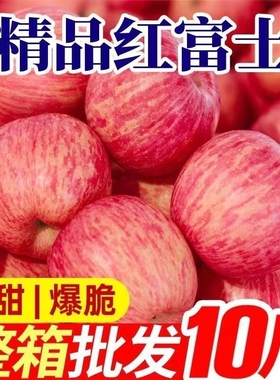 正宗陕西冰糖心红富士苹果新鲜水果现摘当季高原丑苹果一整箱10斤