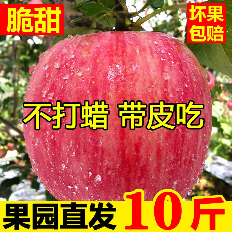 陕西脆甜高原红富士苹果当季新鲜水果3-9斤整箱冰糖心丑苹果