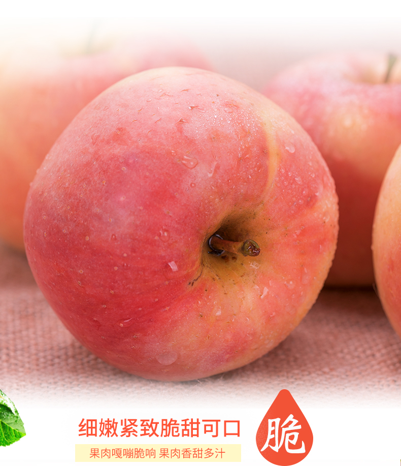 新鲜红富士苹果8斤水果整箱包邮冰糖心当季丑苹果现摘脆甜