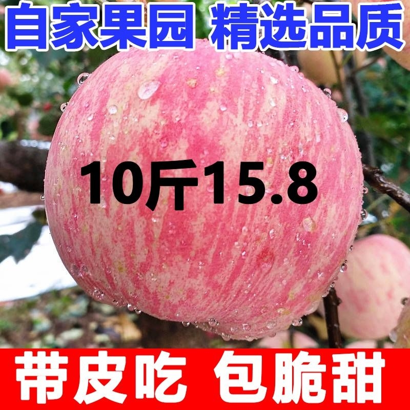 陕西洛川苹果水果新鲜当季红富士冰糖心丑苹果整箱10斤包邮精选