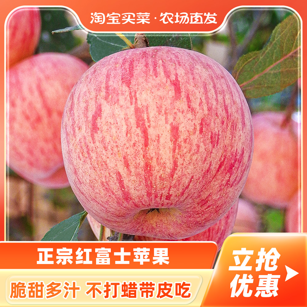 苹果新鲜水果当季整箱9斤包邮山东烟台栖霞红富士平果脆甜苹果