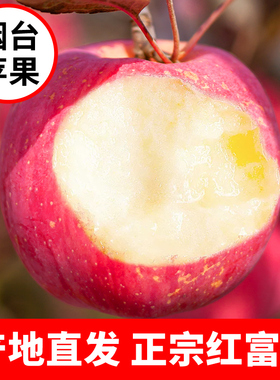 烟台红富士苹果水果5斤新鲜山东栖霞特产脆甜丑萍果当季整箱包邮