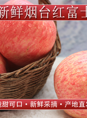 山东烟台苹果栖霞红富士当季新鲜水果整箱